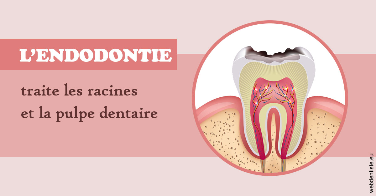 https://dr-guillemant-hubert.chirurgiens-dentistes.fr/L'endodontie 2