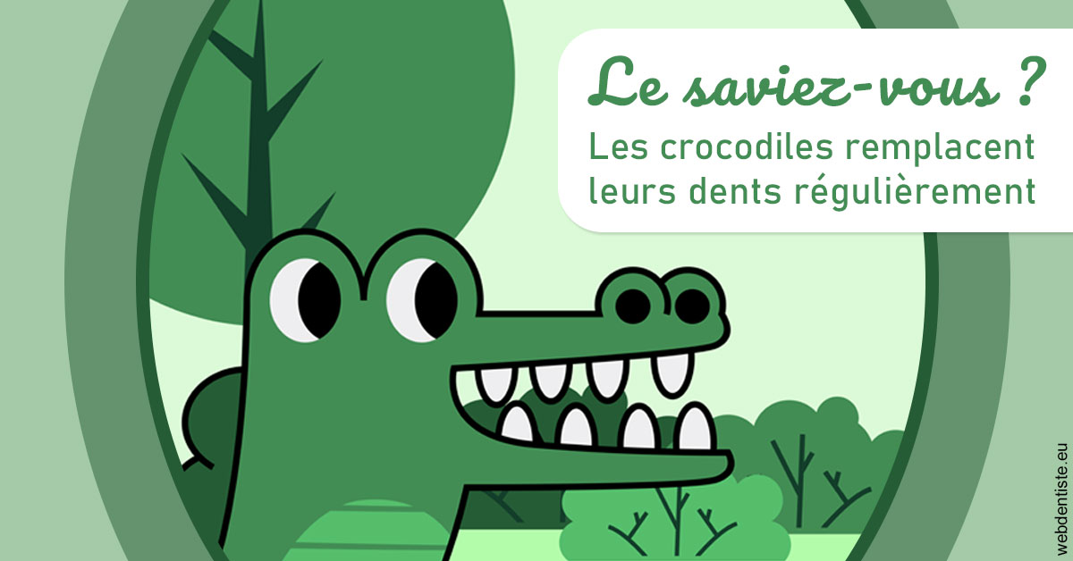 https://dr-guillemant-hubert.chirurgiens-dentistes.fr/Crocodiles 2